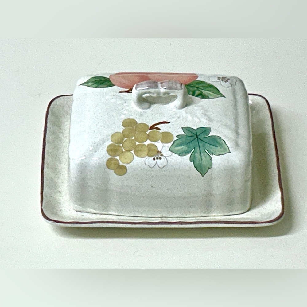 Vintage Retired Discontinued MIKASA FRUIT PANORAMA Lidded Butter Dish